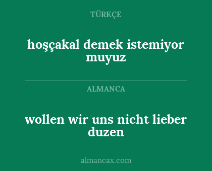 wollen wir uns nicht lieber duzen - hoşçakal demek istemiyor muyuz