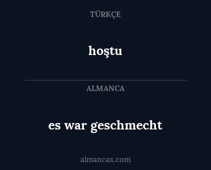 es war geschmecht - hoştu