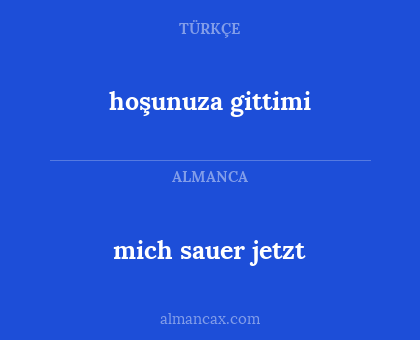 hoşunuza gittimi - mich sauer jetzt