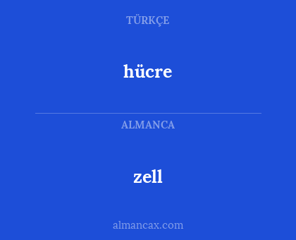 hücre - zell