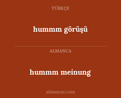 hummm görüşü - hummm meinung