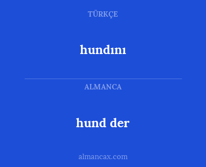 hund der - hundını