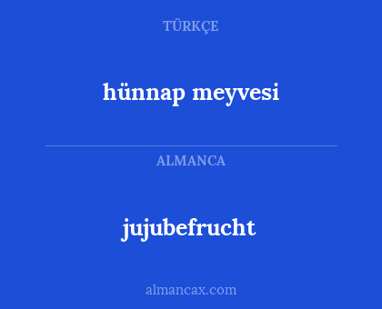 jujubefrucht - hünnap meyvesi