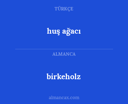 birkeholz - huş ağacı
