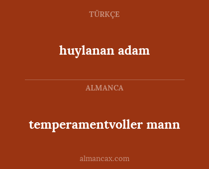 huylanan adam - temperamentvoller mann