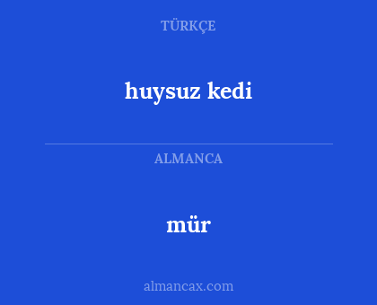 huysuz kedi - mür