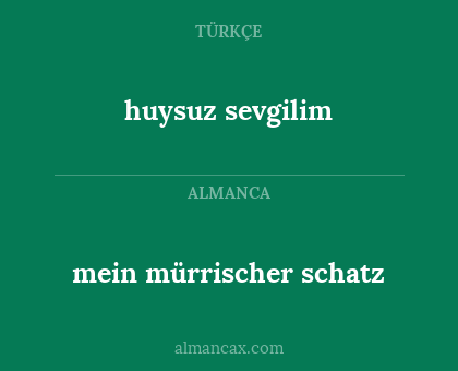 mein mürrischer schatz - huysuz sevgilim
