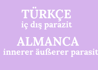 i%C3%A7+d%C4%B1%C5%9F+parazit-innerer+%C3%A4u%C3%9Ferer+parasit.png