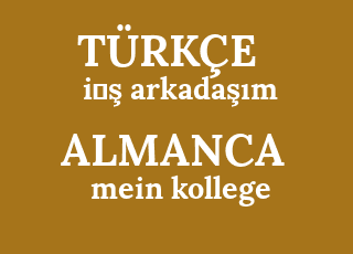 i%CC%87%C5%9F+arkada%C5%9F%C4%B1m-mein+kollege.png