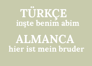 i%CC%87%C5%9Fte+benim+abim-hier+ist+mein+bruder.png