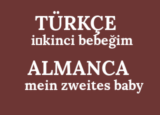 i%CC%87kinci+bebe%C4%9Fim-mein+zweites+baby.png