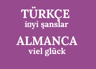 i%CC%87yi+%C5%9Fanslar-viel+gl%C3%BCck.png