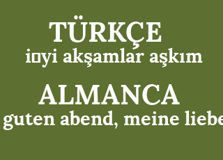 i%CC%87yi+ak%C5%9Famlar+a%C5%9Fk%C4%B1m-guten+abend%2C+meine+liebe.png