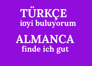 i%CC%87yi+buluyorum-finde+ich+gut.png