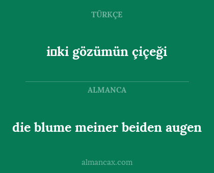 die blume meiner beiden augen - i̇ki gözümün çiçeği