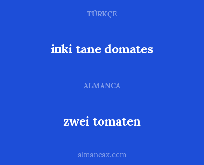 i̇ki tane domates - zwei tomaten