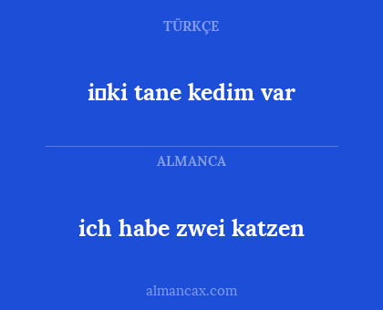 ich habe zwei katzen - i̇ki tane kedim var