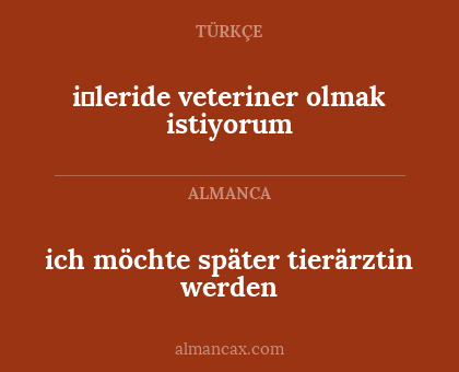 ich möchte später tierärztin werden - i̇leride veteriner olmak istiyorum