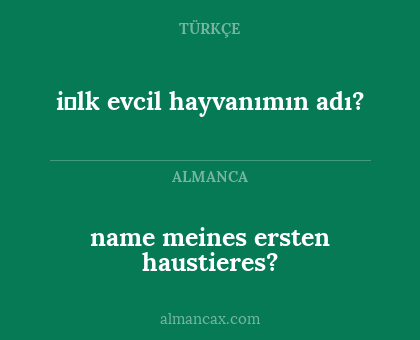 i̇lk evcil hayvanımın adı? - name meines ersten haustieres?
