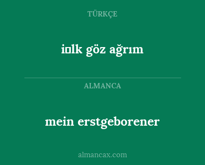 mein erstgeborener - i̇lk göz ağrım
