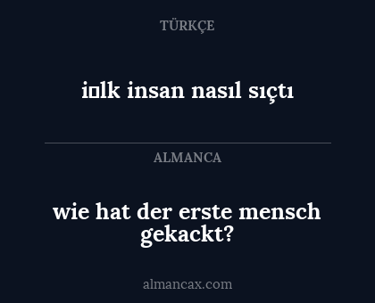 i̇lk insan nasıl sıçtı - wie hat der erste mensch gekackt?