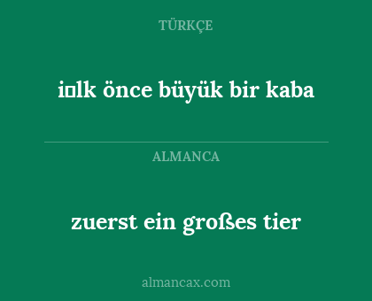 zuerst ein großes tier - i̇lk önce büyük bir kaba