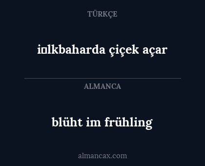 i̇lkbaharda çiçek açar - blüht im frühling