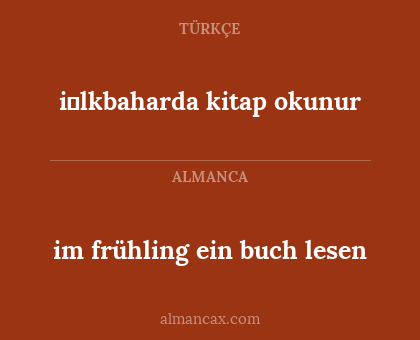 im frühling ein buch lesen - i̇lkbaharda kitap okunur