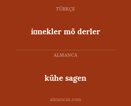 i̇nekler mö derler - kühe sagen