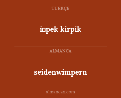 seidenwimpern - i̇pek kirpik