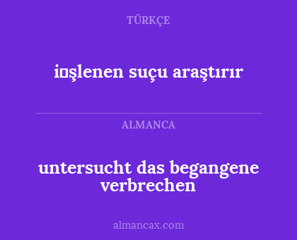untersucht das begangene verbrechen - i̇şlenen suçu araştırır