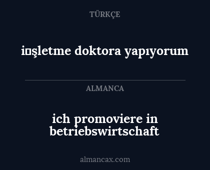 ich promoviere in betriebswirtschaft - i̇şletme doktora yapıyorum