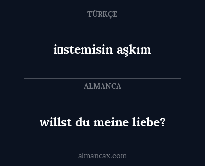 willst du meine liebe? - i̇stemisin aşkım