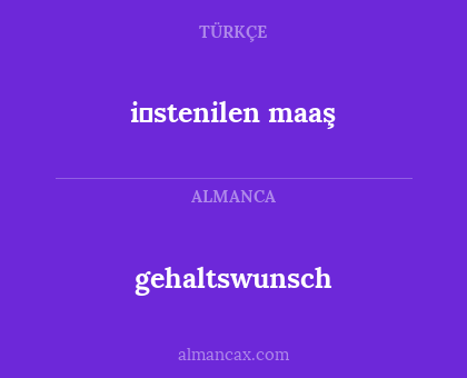 i̇stenilen maaş - gehaltswunsch