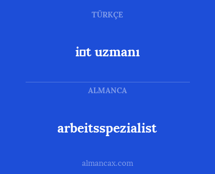 arbeitsspezialist - i̇t uzmanı