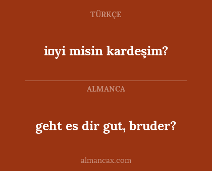 i̇yi misin kardeşim? - geht es dir gut, bruder?