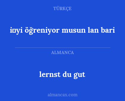 lernst du gut - i̇yi öğreniyor musun lan bari