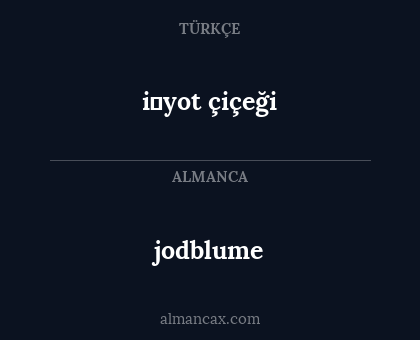 i̇yot çiçeği - jodblume