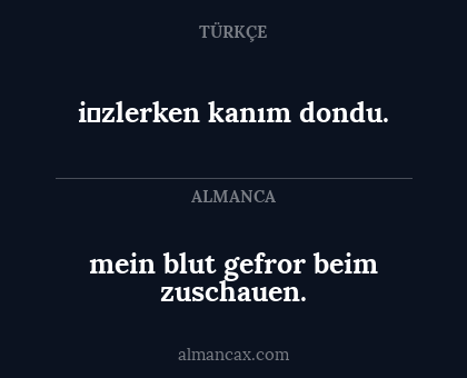 mein blut gefror beim zuschauen. - i̇zlerken kanım dondu.