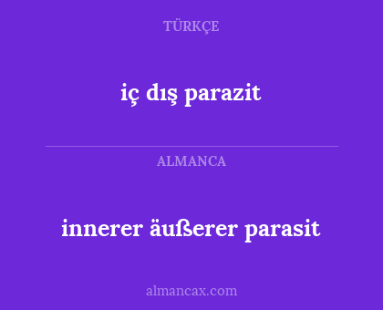 innerer äußerer parasit - iç dış parazit