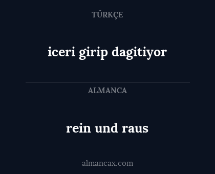 iceri girip dagitiyor - rein und raus