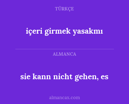 sie kann nicht gehen, es - içeri girmek yasakmı