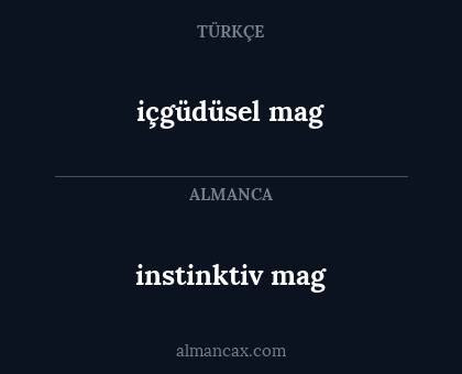 instinktiv mag - içgüdüsel mag