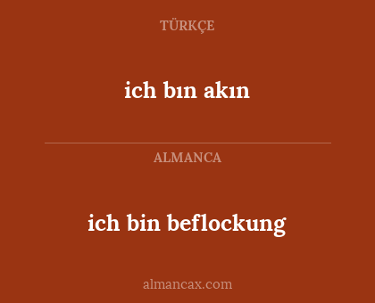 ich bin beflockung - ich bın akın