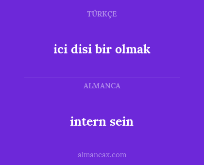 intern sein - ici disi bir olmak