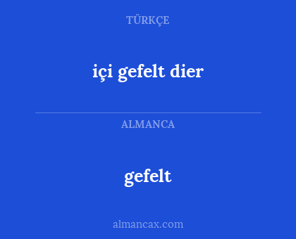 gefelt - içi gefelt dier