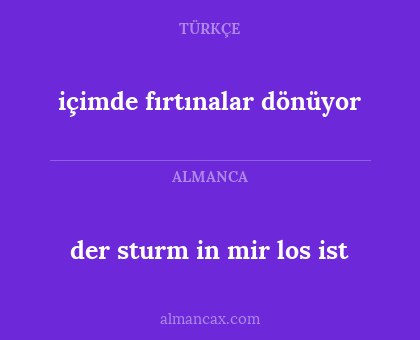 der sturm in mir los ist - içimde fırtınalar dönüyor