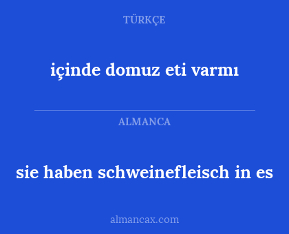 içinde domuz eti varmı - sie haben schweinefleisch in es