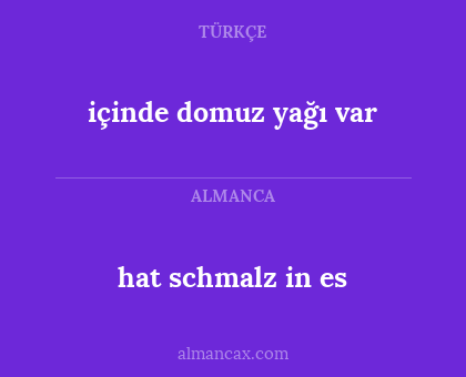 hat schmalz in es - içinde domuz yağı var