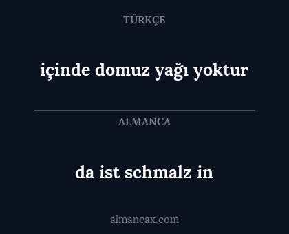 da ist schmalz in - içinde domuz yağı yoktur